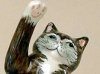 Brian Lowndes-Pateman cat