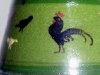 Aller Vale Pottery