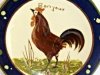 Watcombe Cockerel-4
