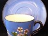 Barton Pottery Cup and Saucer with Blossom