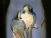 Dartmouth Pottery.-exotic-bird-vase