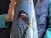 £34 Longpark Vase 14ins Nov \'13