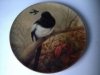 £45 Watcombe, signed Birbeck Aug \'14