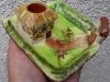 £22 Torquay Pottery Candleholder, Aug \'11