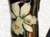 Aller Vale Pottery