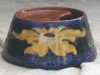 Crown Dorset Inwell in unusual form, see picture of top