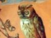 Longpark Pottery