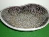 contemporary dish