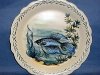 Axe Vale Pottery