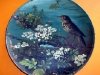 Longpark Pottery