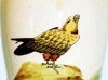 Watcombe Pottery