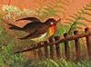 Watcombe painted terracotta plaque